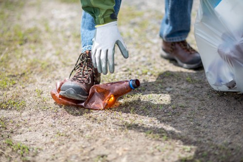Professional furniture removal in Blackheath